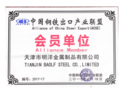 China Iron and Steel Industry Export Alliance